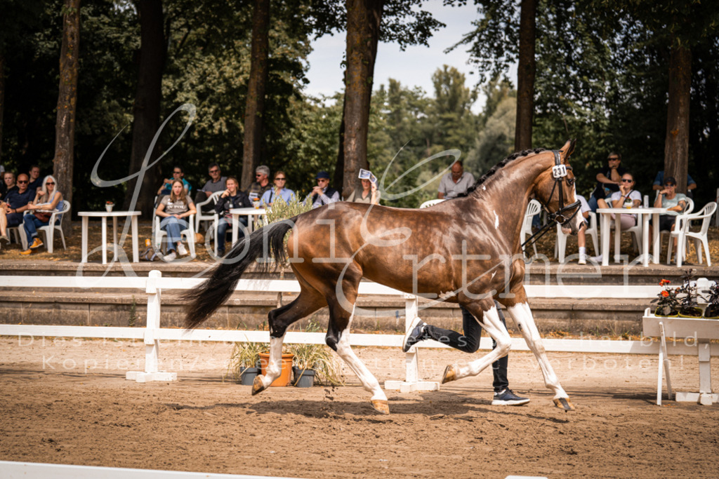 2. Fr00170 | Leoni Ertmer Photography - Realisiert mit Pictrs.com