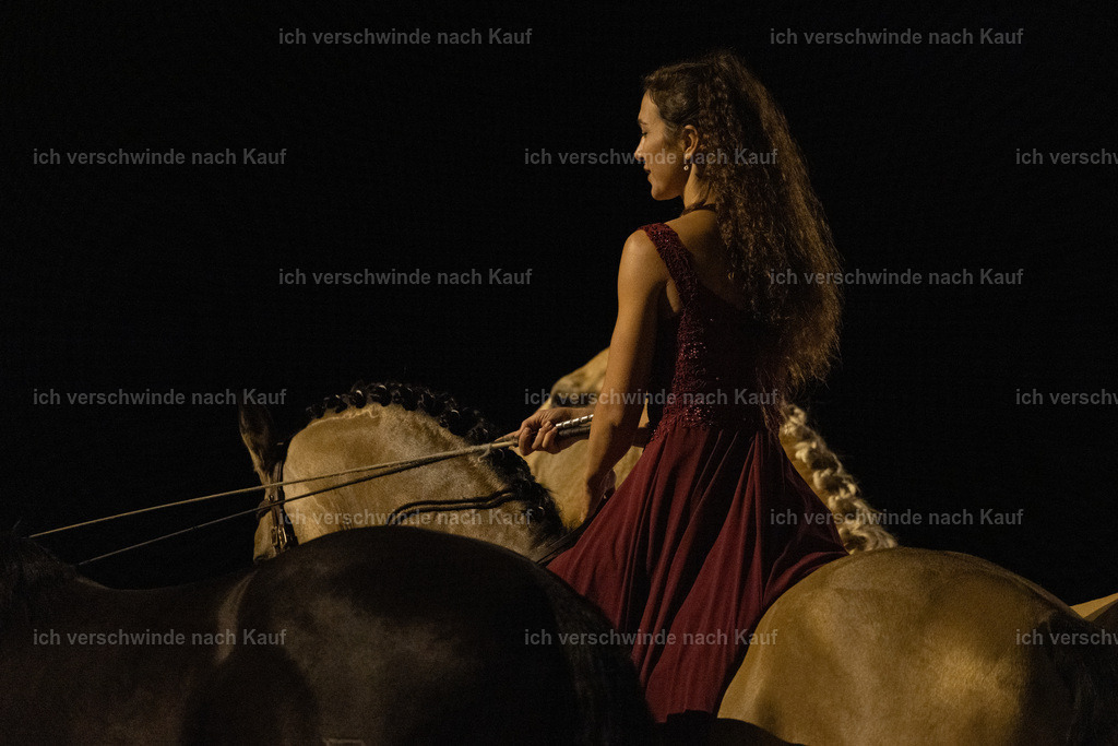 FHClassics-353 | working equitationturnier fotograf videograf stoibphotography marixx film working equitation deutschland reitsport turnierfotografie eventfotografie equestrian events