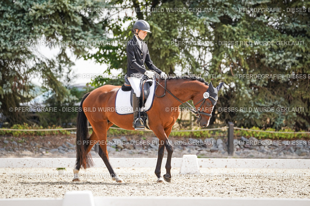 DSC08806 | Pferdegrafie