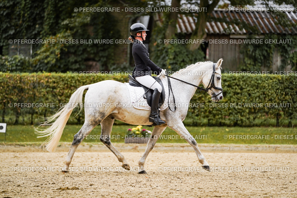 DSC07836 | Pferdegrafie