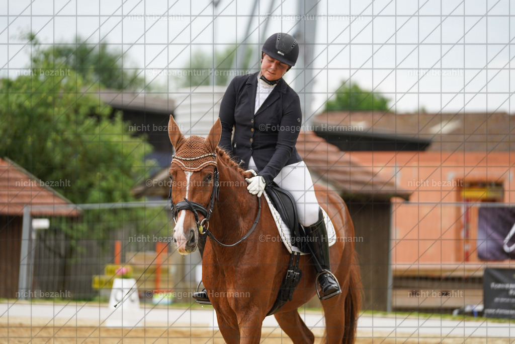 20240630-FAH00828 | Turnierbilder Schwabmünchen, Dressurbilder, Springreitturnier, Reitsportbilder, Turnierfotografen Bayern, Turnierfotograf