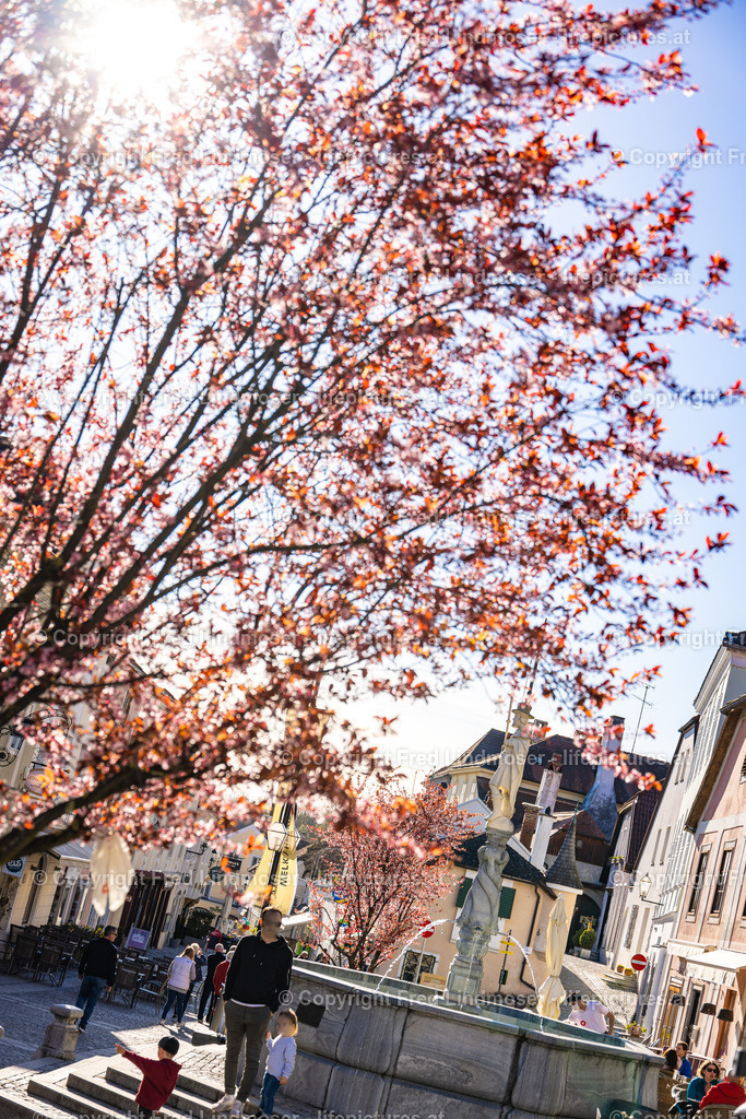 Stift Melk an der Donau-5814 | Fotos und Fotoprodukte - Realisiert mit Pictrs.com