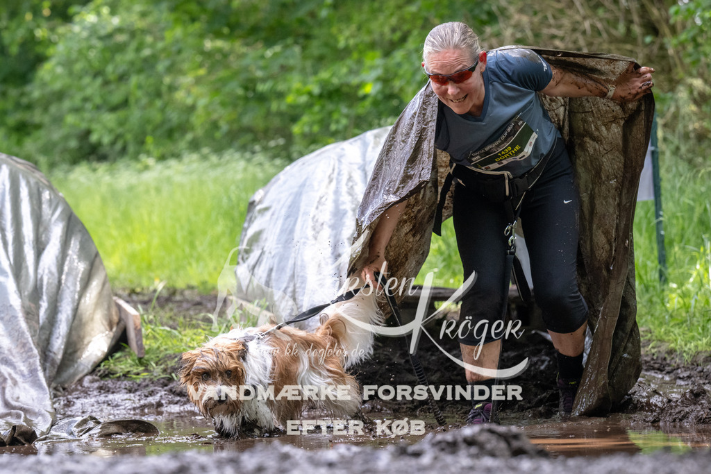 1254_ZZ94129 | kk-dogfotos