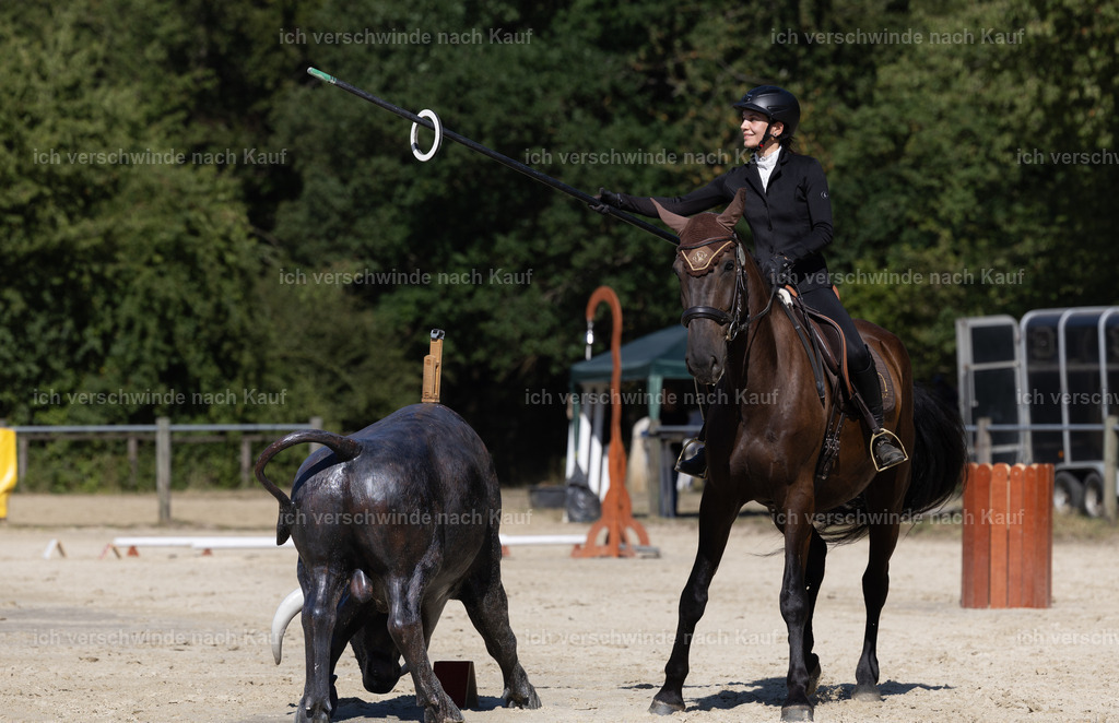 WE_Trail_113_KerstinBernhardt-11 | working equitationturnier fotograf videograf stoibphotography marixx film working equitation deutschland reitsport turnierfotografie eventfotografie equestrian events