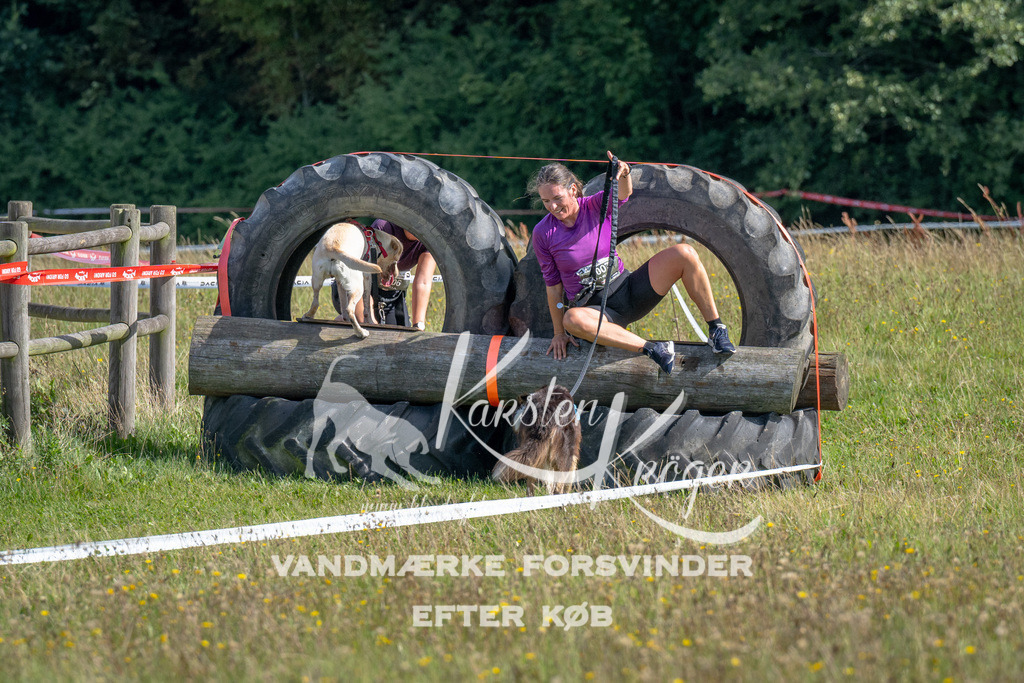 1136_ZZ90499 | kk-dogfotos