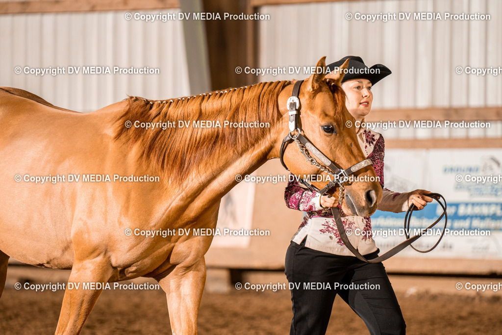 BAL01352 | dv-media-shop - Realisiert mit Pictrs.com