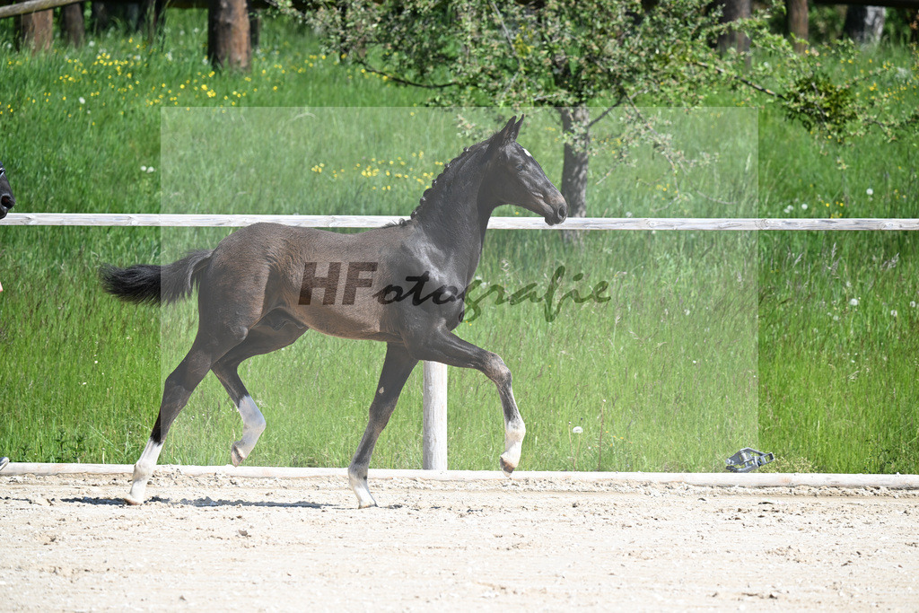 Escaneno x Negro_HF_Eder_10250072 | hf-fotografie - Realizzato con Pictrs.com