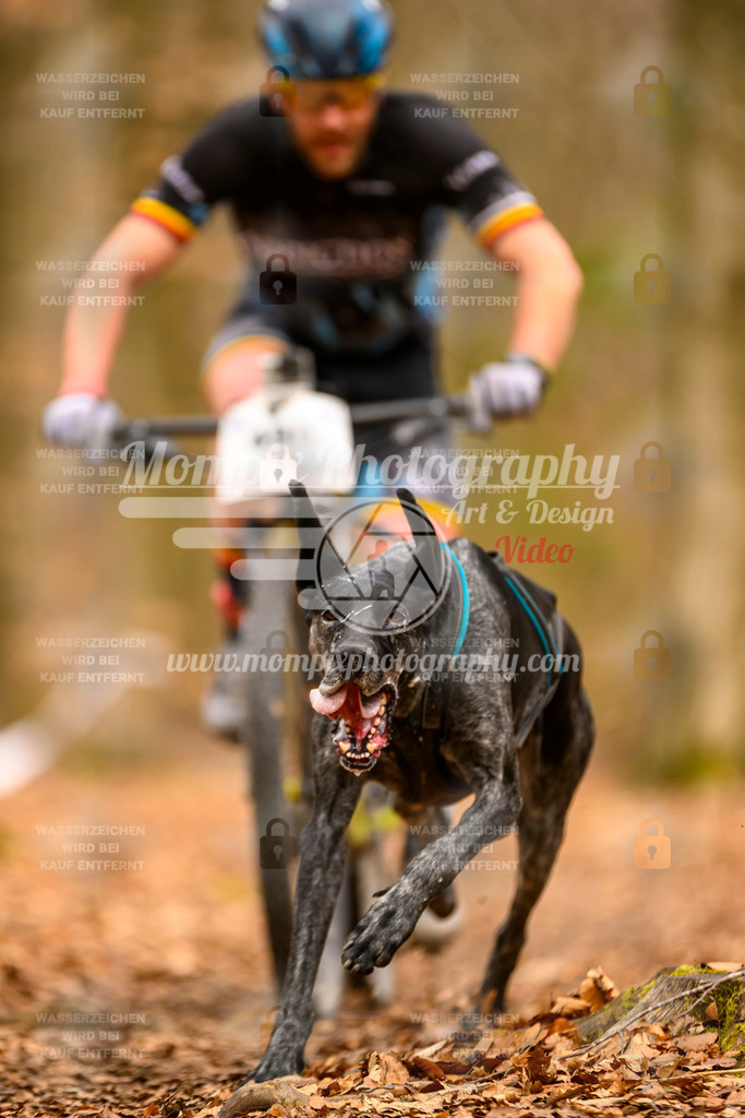 MompixPhotography_Habay2025_SA_Bike-147 | PayLife