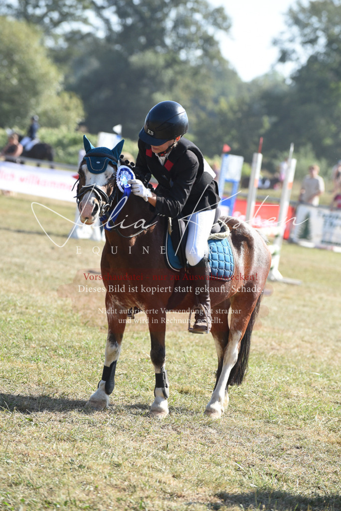 DSC_6173 | Pferde- und Turnierfotografie in Westsachsen. Pferdeportraits, Auftragszeichnungen und intuitive Kunst.