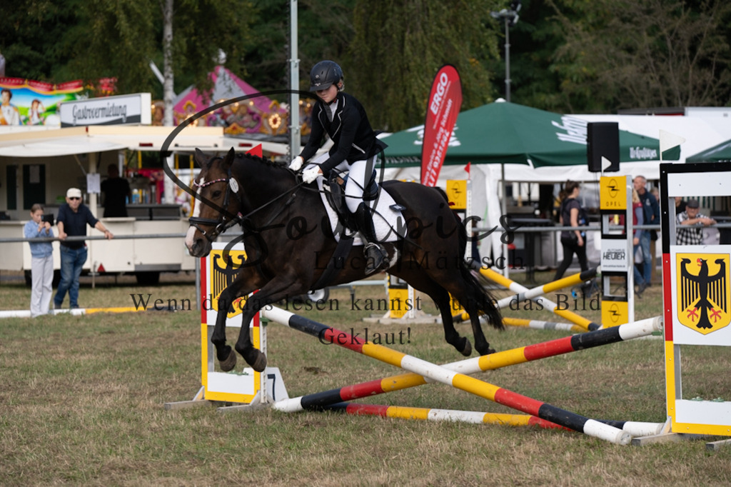 A7V08505 | Pferdefotograf