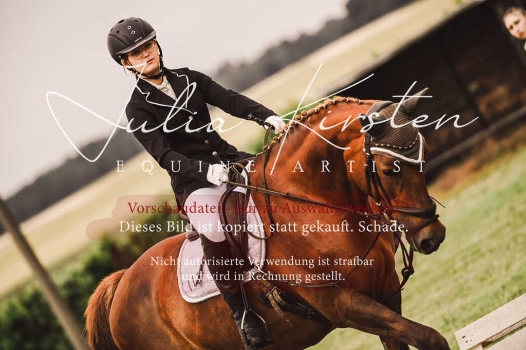 DSC_4791 | Pferde- und Turnierfotografie in Westsachsen. Pferdeportraits, Auftragszeichnungen und intuitive Kunst.