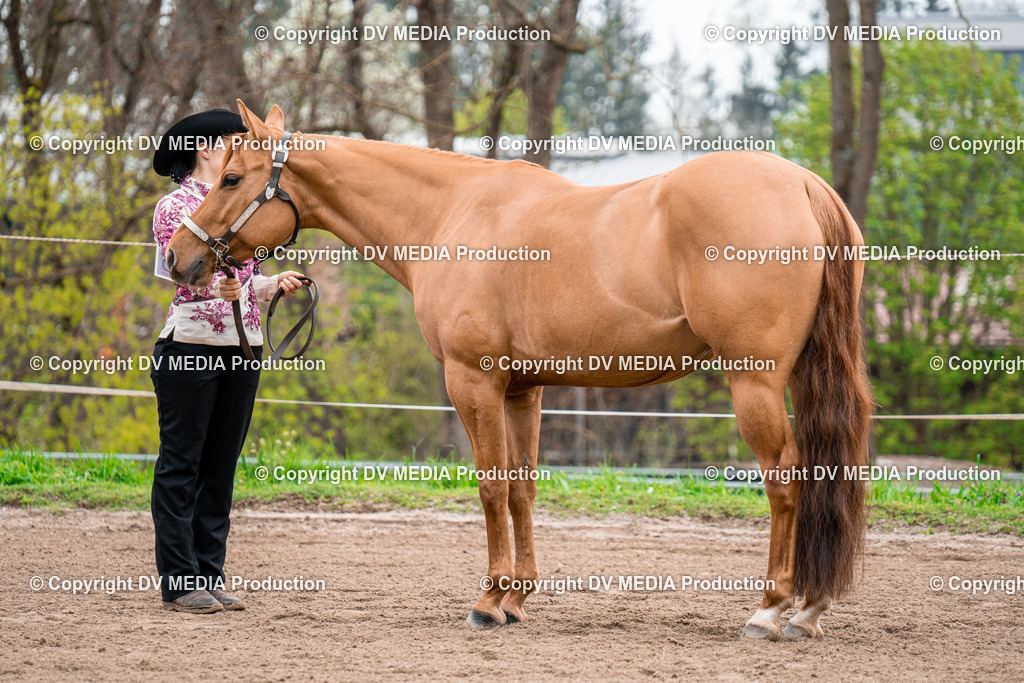 BA300165 | dv-media-shop - Realisiert mit Pictrs.com