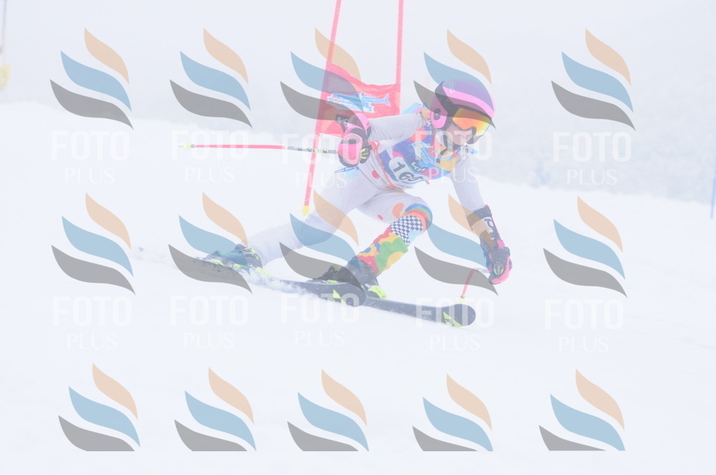 C1982 | holidayphoto