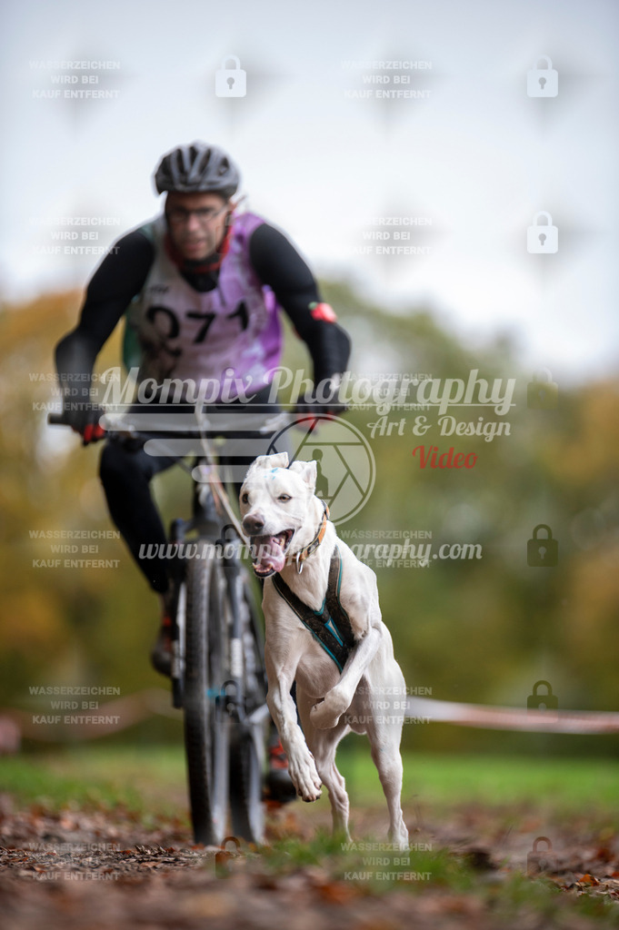 DBT_DAKM_SA_4_11_2023_Bike-83 | PayLife
