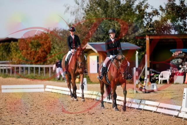 2026_10_03_Siefer-Hof_130908_Z63_71319387 | Professionelle Reitsport-, Turnier- und Eventfotografie von Robert Broda. Galerien mit ausgewählten und bearbeiteten Bildern direkt online ansehen und bestellen.