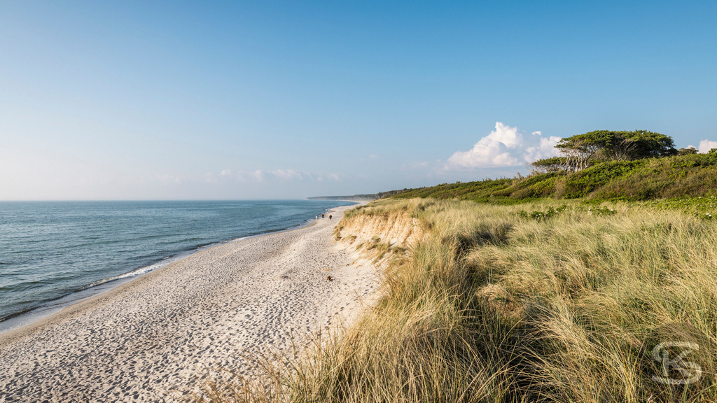 Weststrand Fischland-Darß-Zingst – Naturstrand mit Dünen und Ostsee | Der Weststrand auf Fischland-Darß-Zingst beeindruckt mit wilder Natur, Dünenlandschaften und weitem Blick über die Ostsee. Ein ursprünglicher Küstenabschnitt im Nationalpark Vorpommersche Boddenlandschaft. - Realisiert mit Pictrs.com