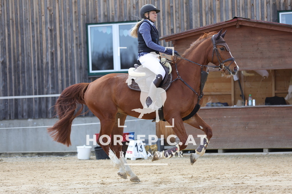 0P6A7162 | Willkommen bei Brunnmayr - Design & Fotografie – Ihrem Spezialisten für Reitturniere und Pferdeveranstaltungen in Oberösterreich, Salzburg und Bayern! Seit über 17 Jahren sind wir leidenschaftlich dabei.