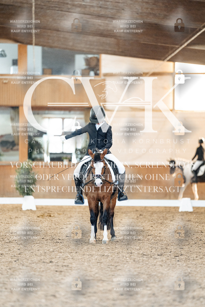 CK907446 | Turnierfotografie Pferdefotografie Trier Rheinland-Pfalz Pferdesport Reitsport Tierfotografie Sportfotografie Pferdevideo Pferdevideografie Equestrianvideography equestrianphotography  - Realisiert mit Pictrs.com
