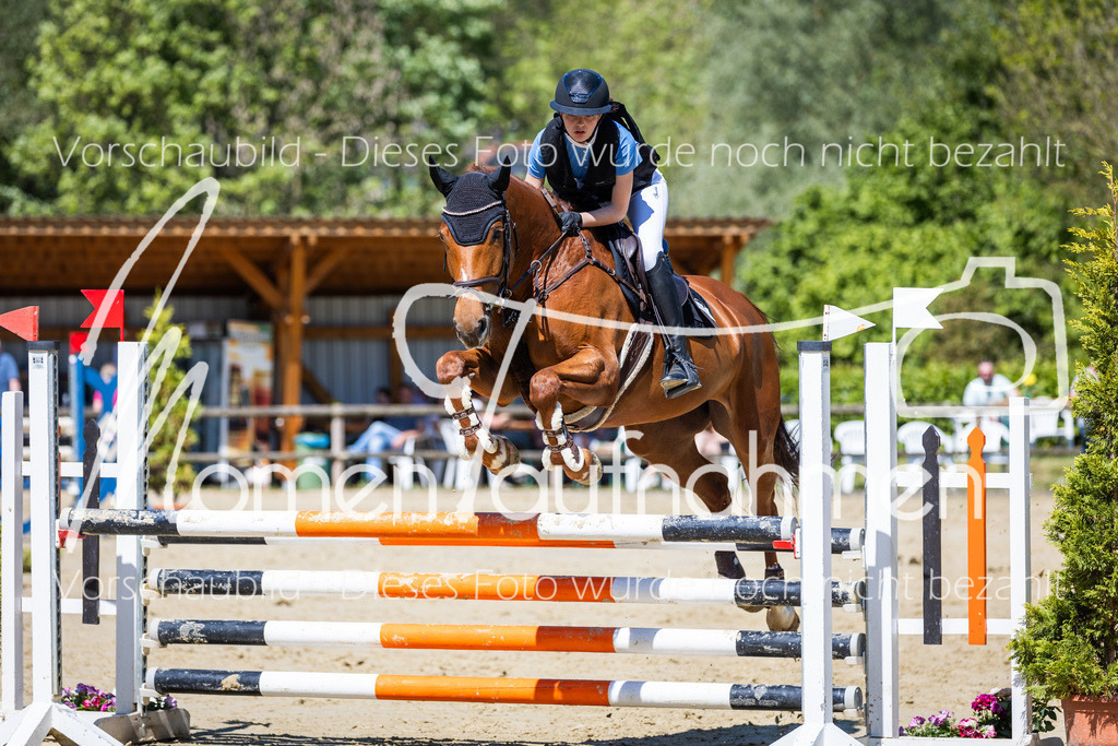 Donop24-ASprmstA-043 | MomenTaufnahmen Pferdesportfotos