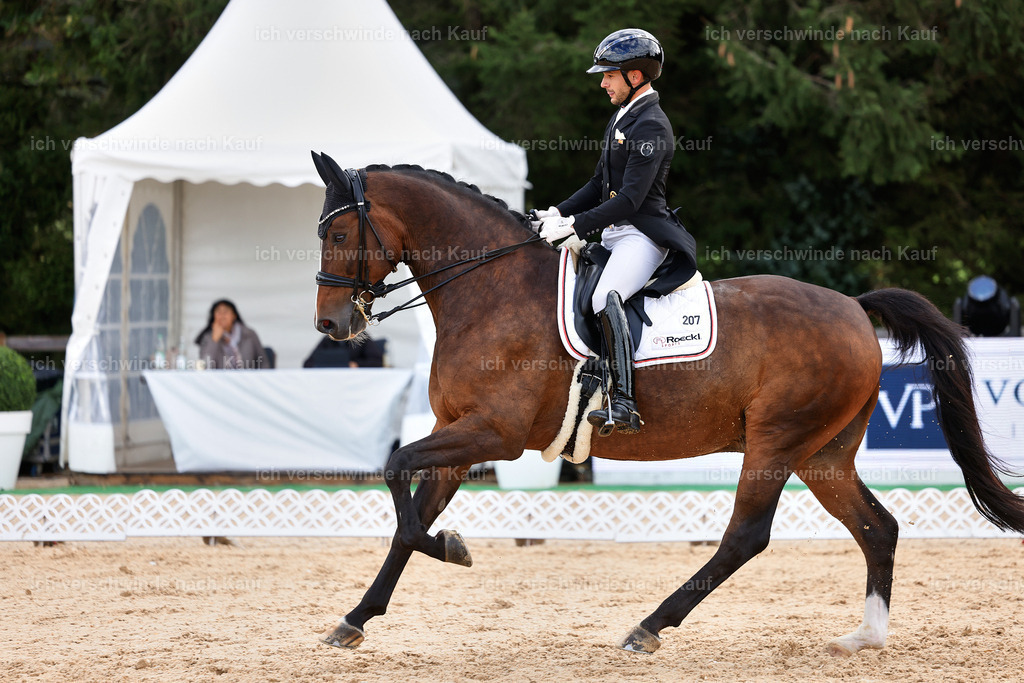 10-207-ST.GEORG SPECIAL -StoibPH-3272 | working equitationturnier fotograf videograf stoibphotography marixx film working equitation deutschland reitsport turnierfotografie eventfotografie equestrian events