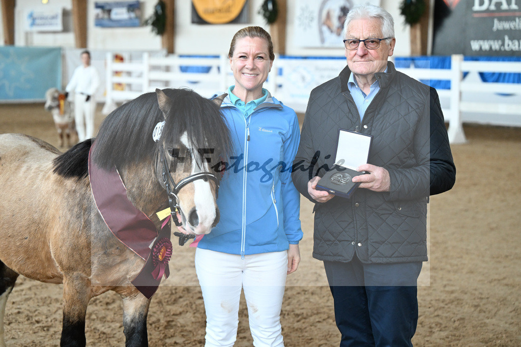 Kat-Nr. 15 Leybucht Bavarian Bailey v. Penymorfa Bailey_Nieberle_9260682 | hf-fotografie - Realisiert mit Pictrs.com