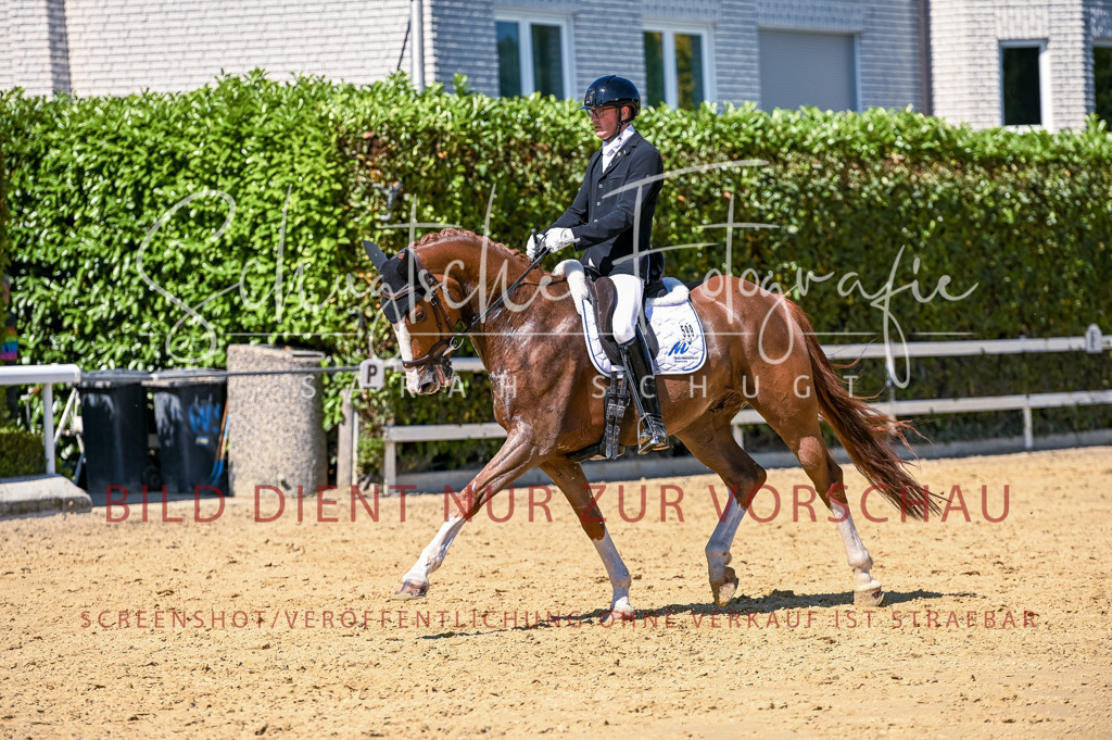 Schugtsche-Aluta25-50.Dressurpferdeprf.L-13 | Schugtsche Fotografie - Realisiert mit Pictrs.com