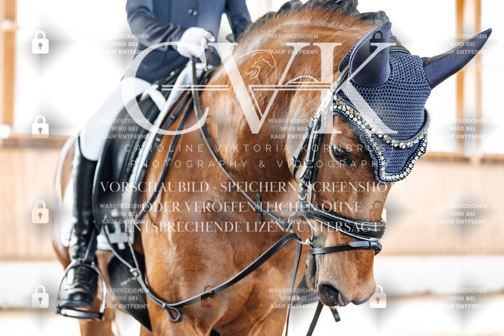 CK909491 | Turnierfotografie Pferdefotografie Trier Rheinland-Pfalz Pferdesport Reitsport Tierfotografie Sportfotografie Pferdevideo Pferdevideografie Equestrianvideography equestrianphotography  - Realisiert mit Pictrs.com