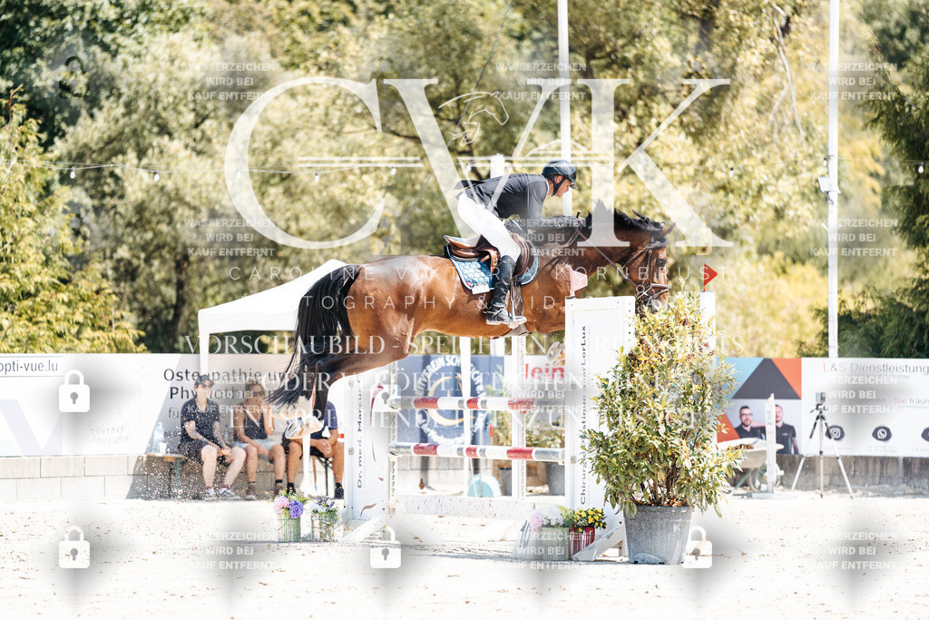CK900150 | Turnierfotografie Pferdefotografie Trier Rheinland-Pfalz Pferdesport Reitsport Tierfotografie Sportfotografie Pferdevideo Pferdevideografie Equestrianvideography equestrianphotography  - Realisiert mit Pictrs.com