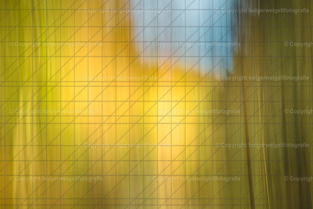 20240317125521D75_2179 | Kaufen sie online außergewöhnliche Fotografien auf Leinwand Acrylglas Fotoprint Aludibond von holgerweigeltfotografie - Realisiert mit Pictrs.com