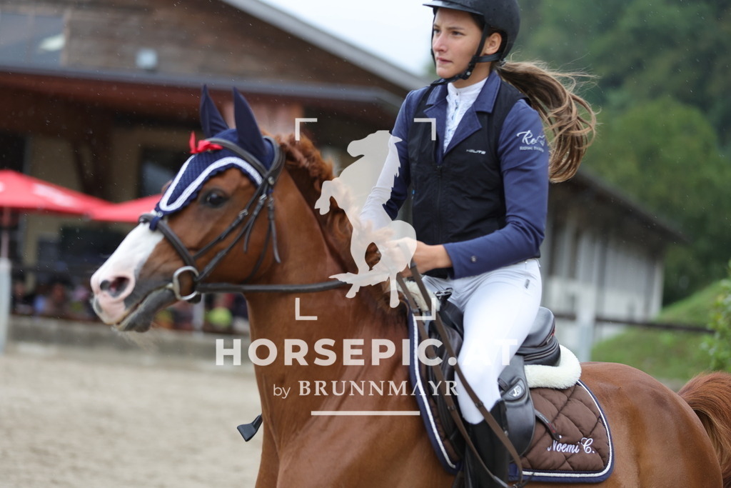 0P6A1552 | Willkommen bei Brunnmayr - Design & Fotografie – Ihrem Spezialisten für Reitturniere und Pferdeveranstaltungen in Oberösterreich, Salzburg und Bayern! Seit über 17 Jahren sind wir leidenschaftlich dabei.