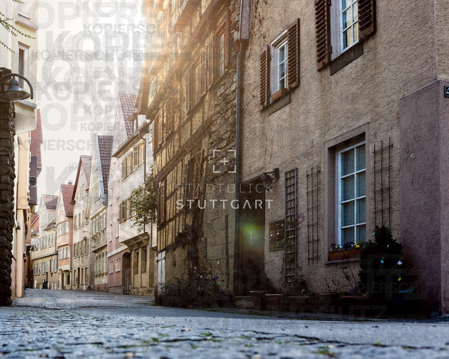 DSCF3331-Bearbeitet | "Entdecken Sie atemberaubende Bilder von Stuttgart im Fotowerk Stuttgart! Kaufen Sie hochwertige Fotos auf Leinwand oder laden Sie digitale Downloads für Ihre Wohnung oder Büros herunter.  - Realisiert mit Pictrs.com