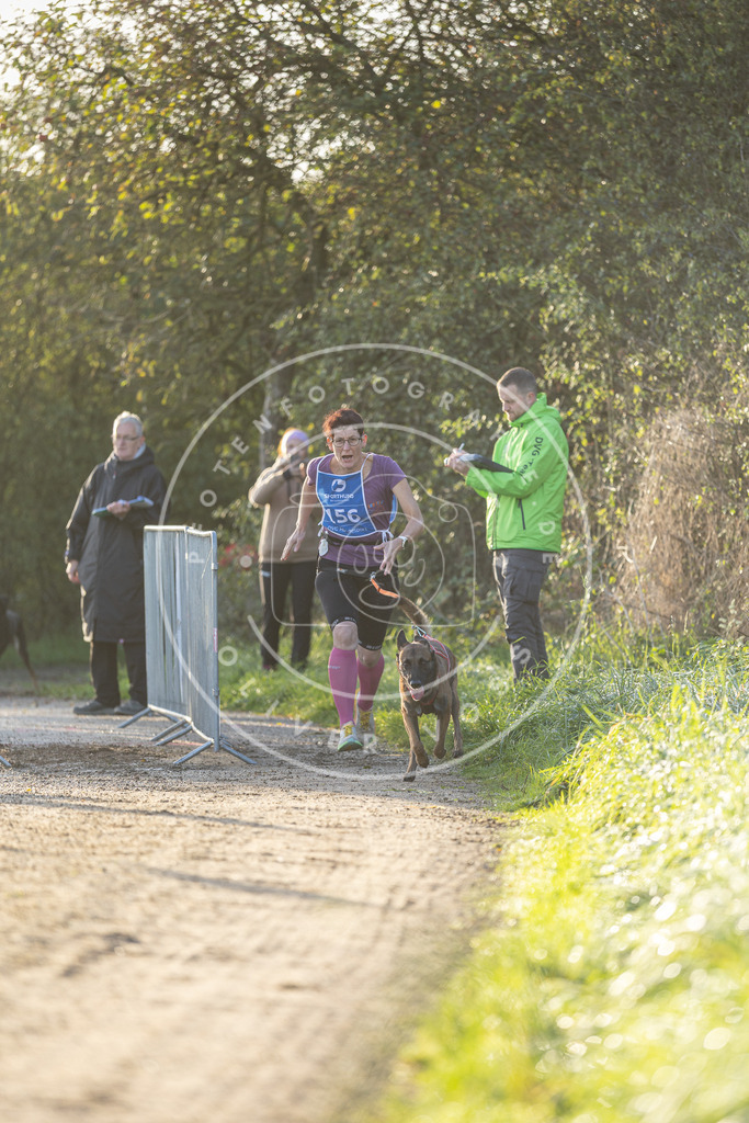 Pfotenfotografie.de_DV3A2598 | Hundefotografie, Tierfotograf, Pfotenfotografie, Fotoshooting Hund, Hunde Portrait, Hundesport, Hundeportraits, Heideshooting, Hunde, Sportfotograf, Hundefotograf, Turnierhundsport, THS, canicross - Realisiert mit Pictrs.com