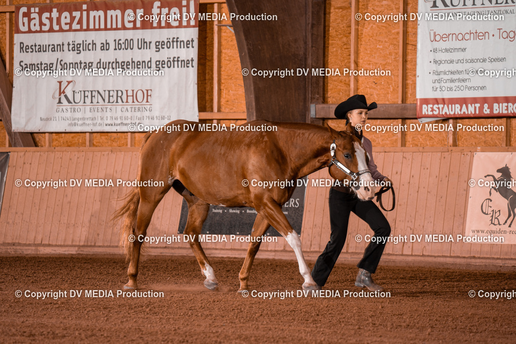 NE201490 | dv-media-shop - Realisiert mit Pictrs.com