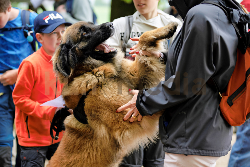140_65. Reinacher Banntag_kunzmedia.ch | OnlineShop für Bilder kunzmedia.ch
