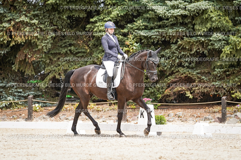 DSC03479 | Pferdegrafie