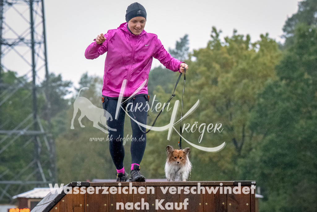 1022--11 | kk-dogfotos