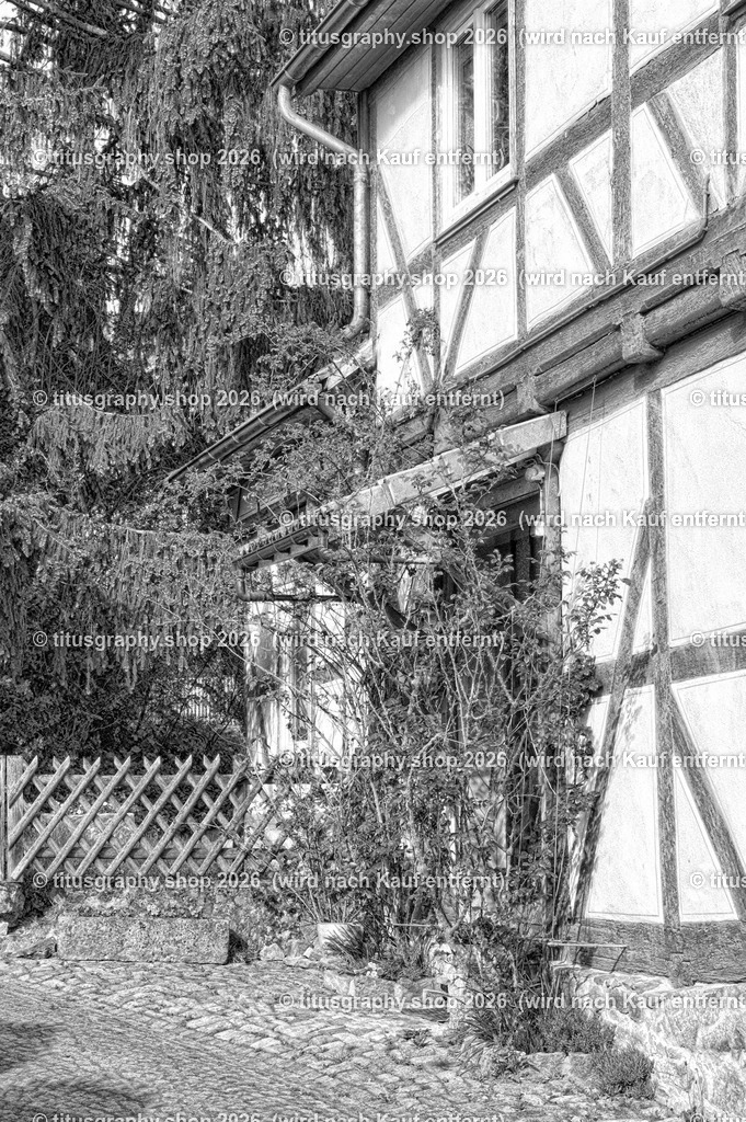 2022-04-29_FT-125_Oberkaufungen_DSC_0432-b-078_pe (Kopie) | titusgraphy-shop: Geschenkideen mit Qualitätsfotos. titusgraphy-shop: gift ideas with quality photos. titusgraphy-shop: idées cadeaux avec photos de qualité.  - Realisiert mit Pictrs.com