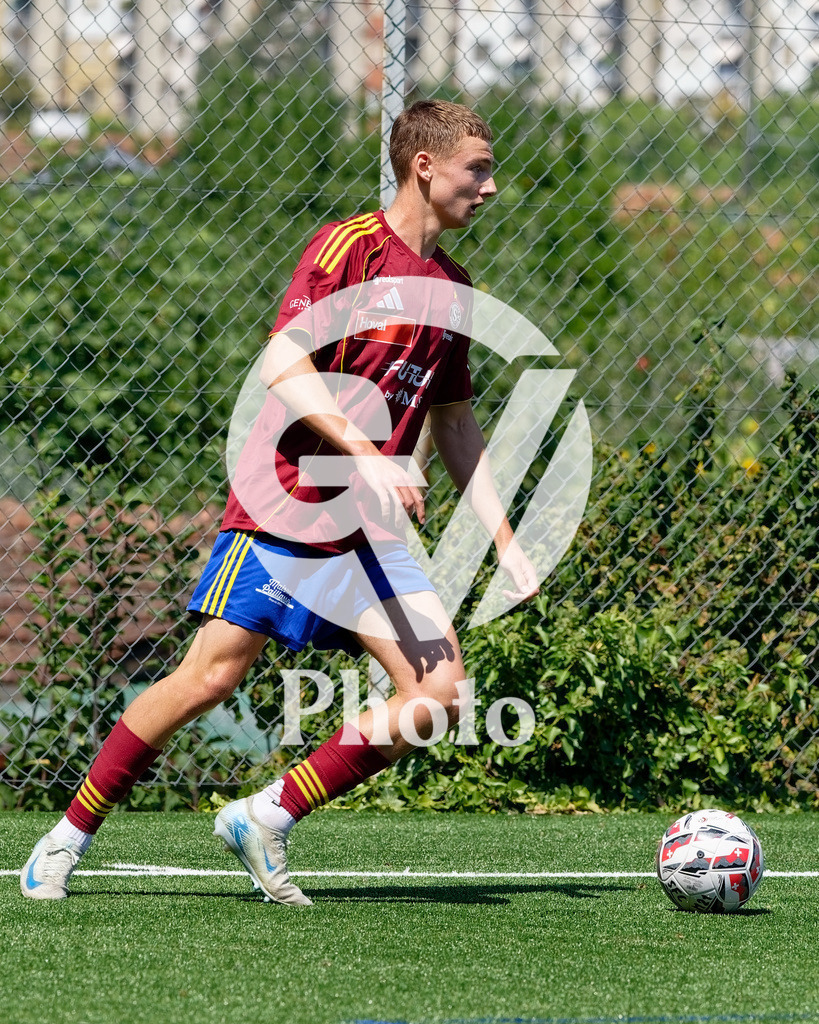 006_DZ8_1537 | Velletri Photo