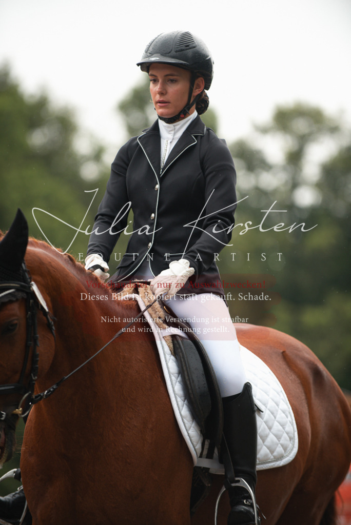 DSC_9798 | Pferde- und Turnierfotografie in Westsachsen. Pferdeportraits, Auftragszeichnungen und intuitive Kunst.