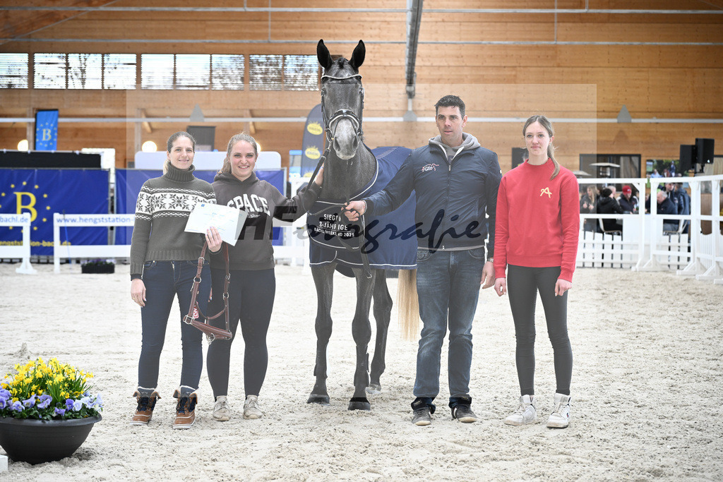 Kat-Nr. 5 Geyers Larimar v. Cizero Z_Geyer_5251519 | hf-fotografie - Realisiert mit Pictrs.com