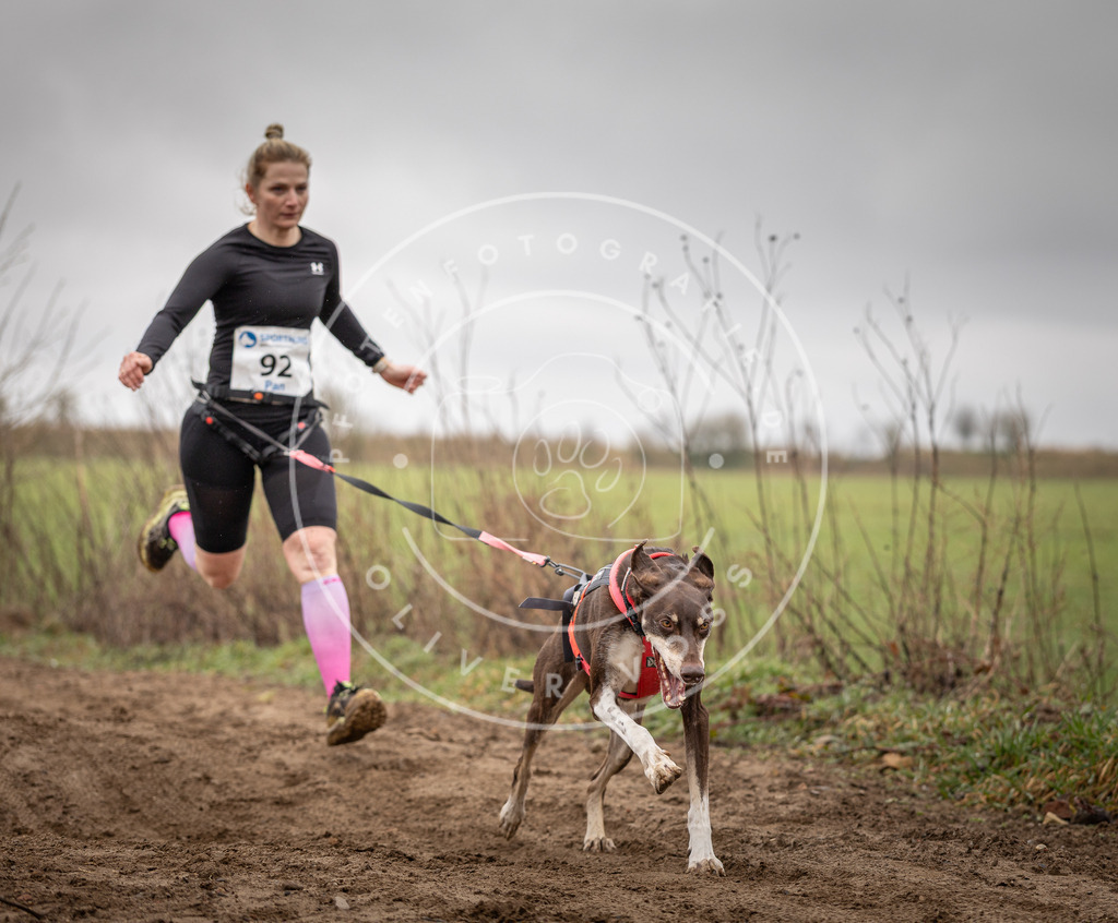 DV3A0025 | Hundefotografie, Tierfotograf, Pfotenfotografie, Fotoshooting Hund, Hunde Portrait, Hundesport, Hundeportraits, Heideshooting, Hunde, Sportfotograf, Hundefotograf, Turnierhundsport, THS,  - Realisiert mit Pictrs.com