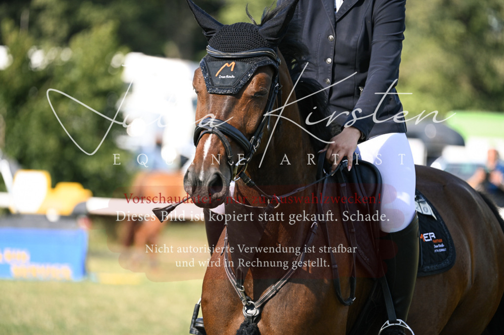 DSC_1445 | Pferde- und Turnierfotografie in Westsachsen. Pferdeportraits, Auftragszeichnungen und intuitive Kunst.