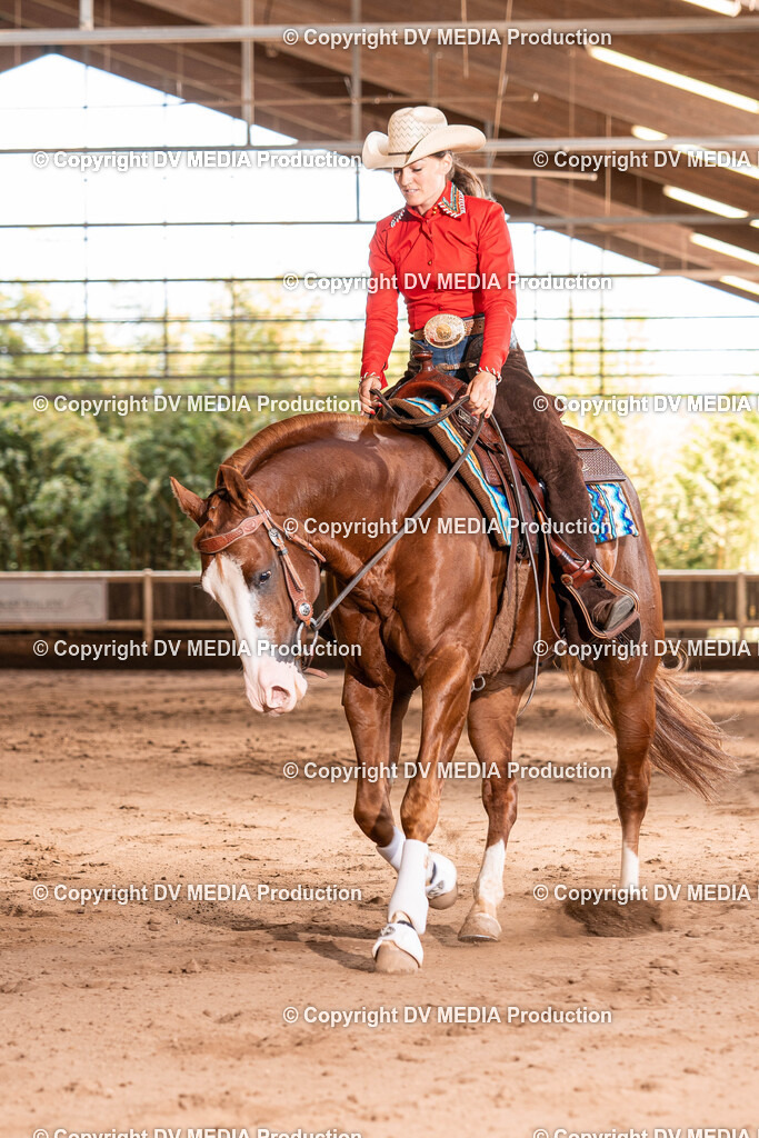 Erbach Tag 2-861 | dv-media-shop - Realisiert mit Pictrs.com