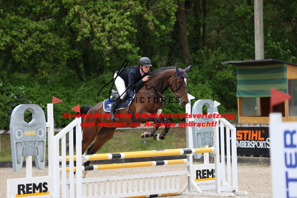 A40A4481 | lmwpictures - Realisiert mit Pictrs.com