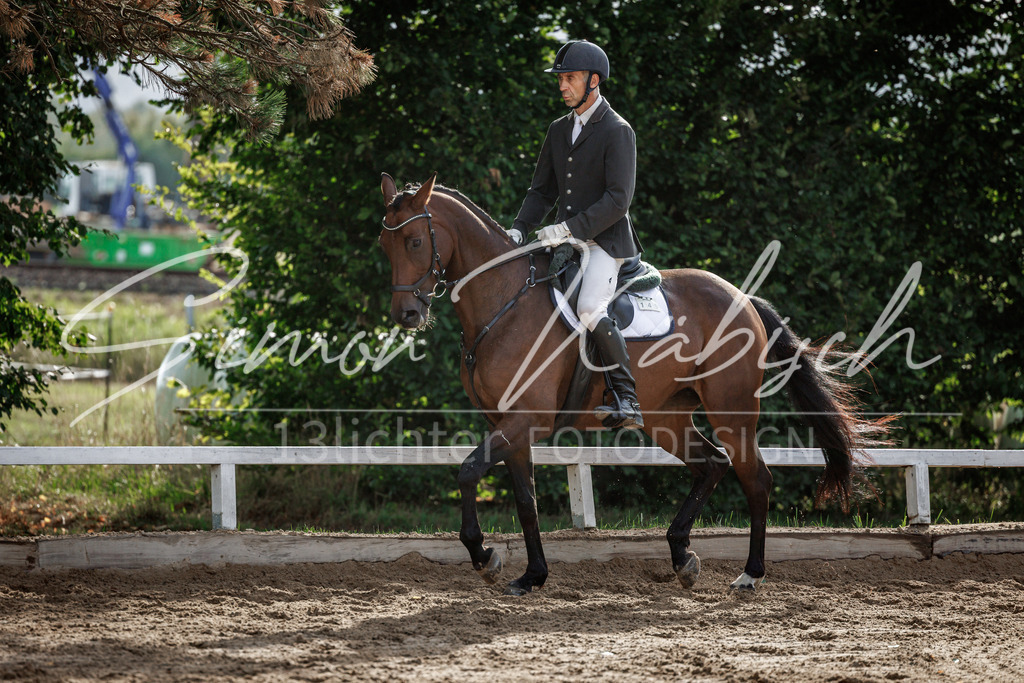 20260905-_3LI7025 | Tierfotografie Pferde, Hunde, Katzen, Haustiere.
Turnierfotografie Reitturniere, Reiten, Springreiten, Dressur in Hanau, dem Main-Kinzig-Kreis und dem Rhein-Main- Gebiet um Frankfurt