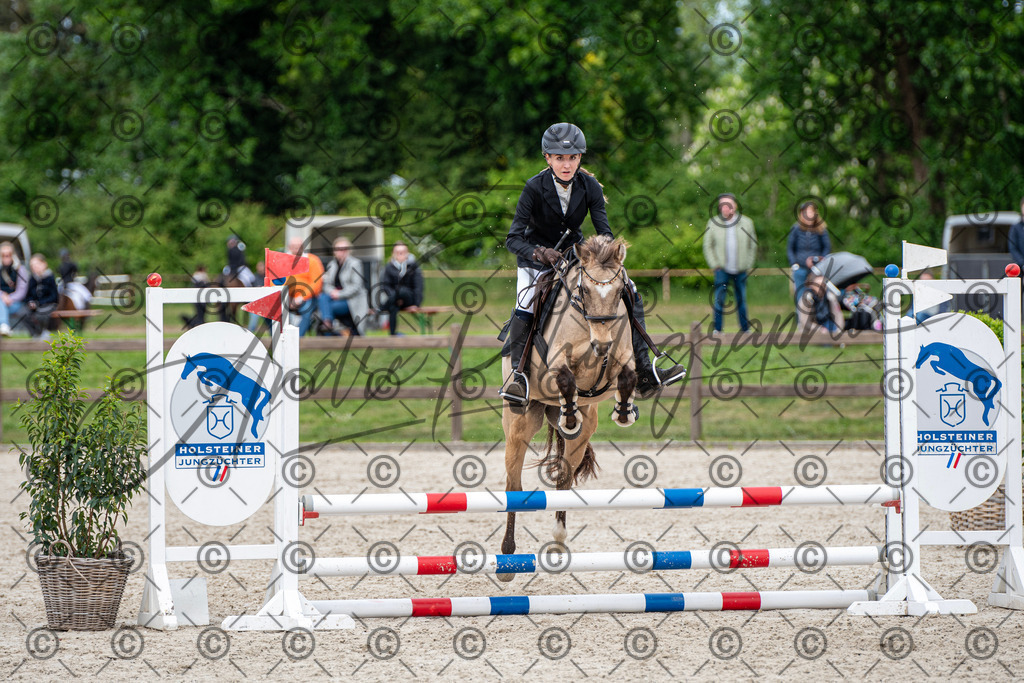 KPT_6267 | andre_photographic