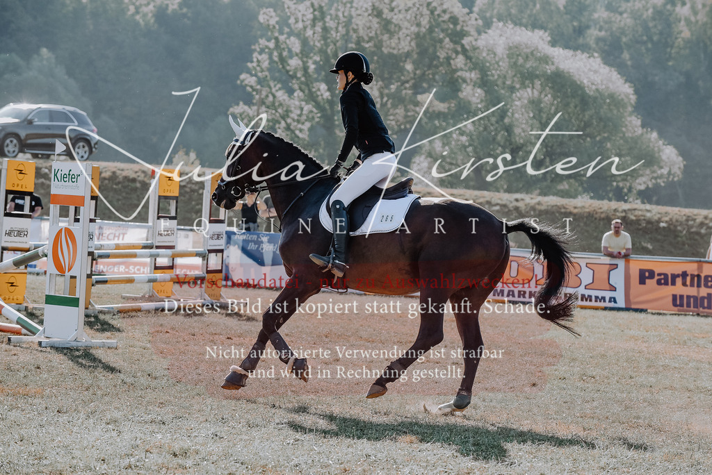 DSC_5629 | Pferde- und Turnierfotografie in Westsachsen. Pferdeportraits, Auftragszeichnungen und intuitive Kunst.