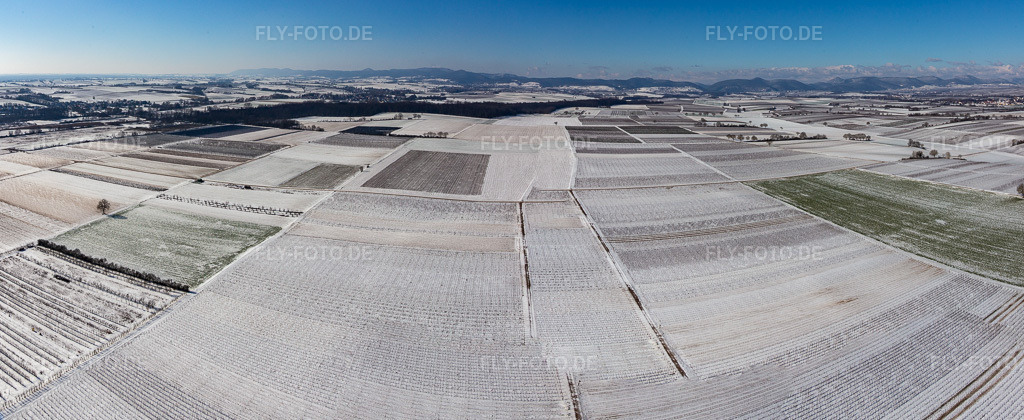 Luftbild: Mit Schnee bedeckte Felder im Winter im Ortsteil Mühlhofen in Billigheim-Ingenheim im Bundesland Rheinland-Pfalz in Deutschland. Foto: IMG_124779-Pano.jpg vom 11.02.2021 durch Werner Riehm/FLY-FOTO.deAuflösung des Originals: 7978 x 3270 px