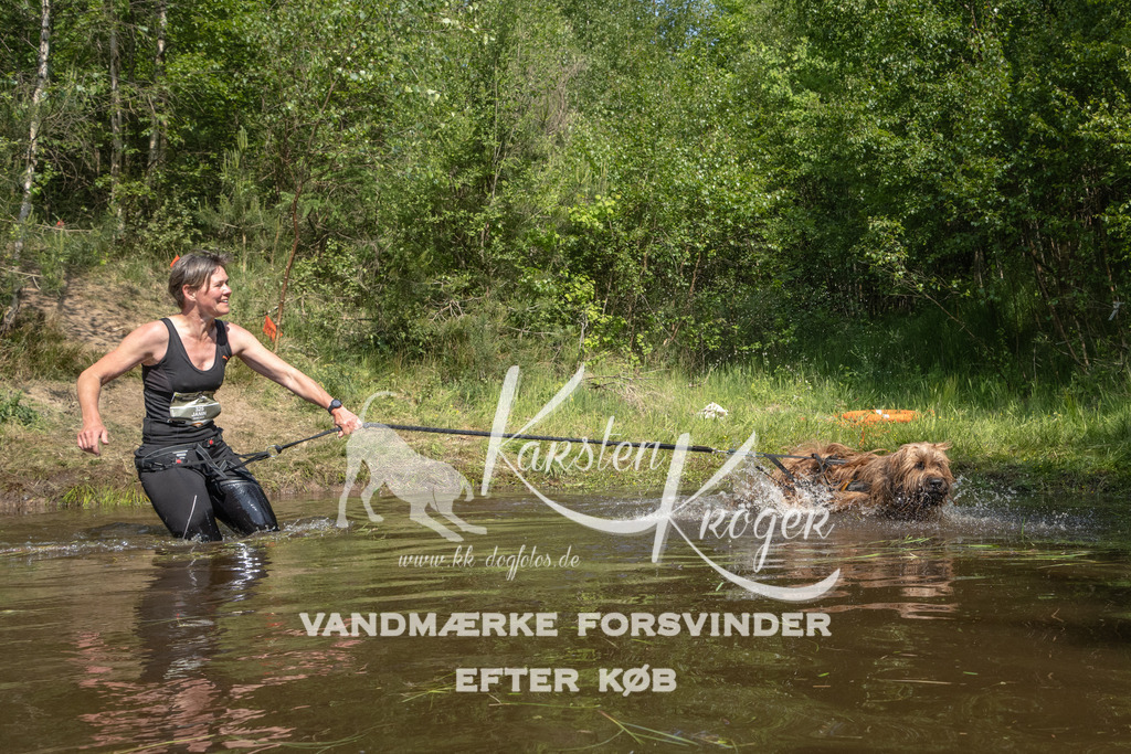 1049DKK991542 | kk-dogfotos