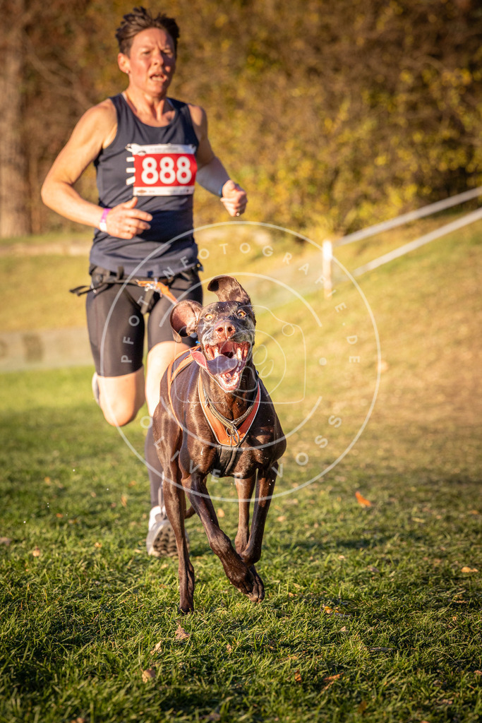 CaniXpix_0L8A1241 | Hundefotografie, Tierfotograf, Pfotenfotografie, Fotoshooting Hund, Hunde Portrait, Hundesport, Hundeportraits, Heideshooting, Hunde, Sportfotograf, Hundefotograf, Turnierhundsport, THS,  - Realisiert mit Pictrs.com